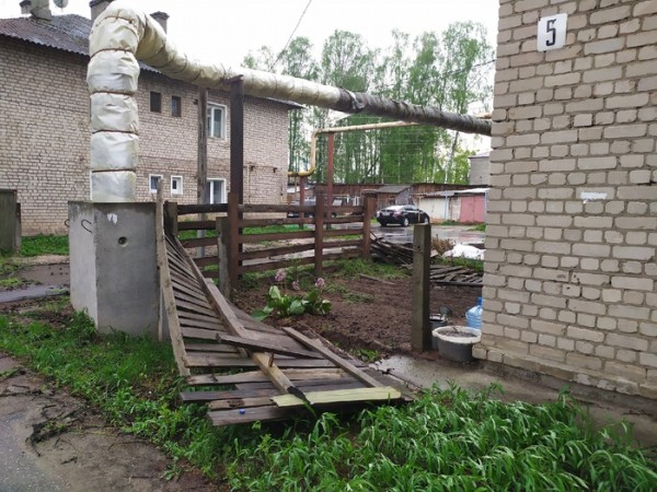 Последствия урагана: нижегородцы делятся кадрами падающих деревьев и разбитых машин