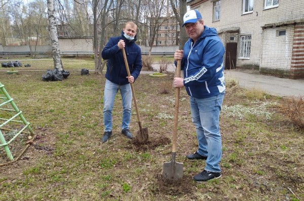 Общественники высадят 150 кедров на территории нижегородских центров соцзащиты