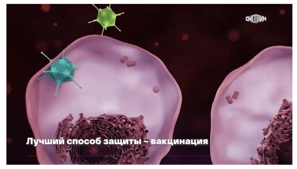 23 мая: вакцинация и достройка СП-2. Главное за день