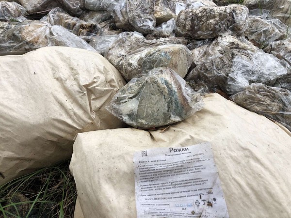 Свалку хлеба под Нижним Новгородом ликвидировали 