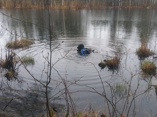 Пропавшего нижегородского егеря искали на Нуксенском озере