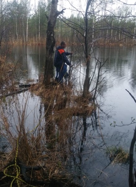 Пропавшего нижегородского егеря искали на Нуксенском озере