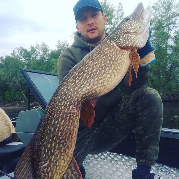 Гигантскую щуку выловил рыбак в Нижегородской области