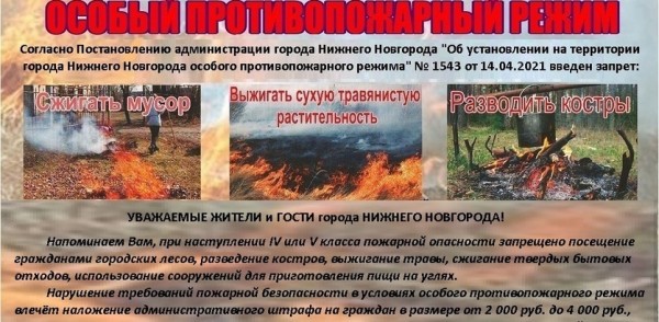 В нижегородских лесах установился &laquo;жёлтый&raquo; уровень пожарной опасности