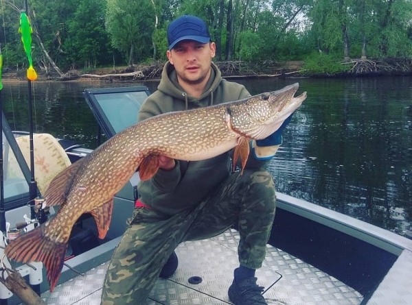 Гигантскую щуку выловил рыбак в Нижегородской области