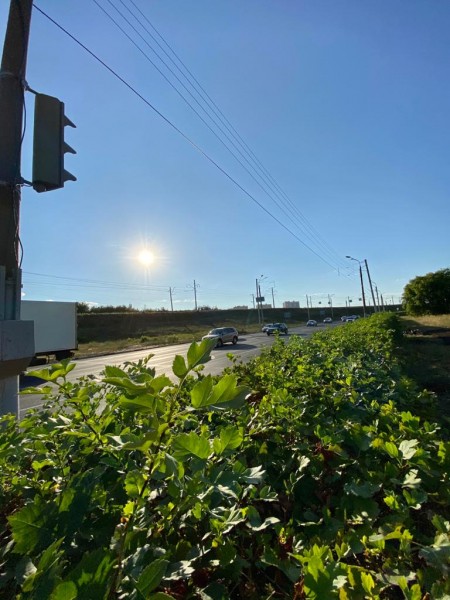 Длина «пробки» на пересечении ул. Акимова и Пролетарской после изменения светофорного режима сократилась в 5 раз 