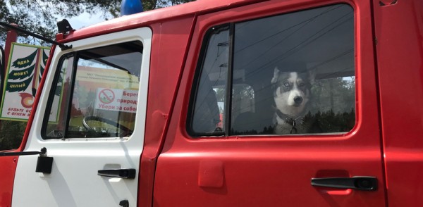 На территории Нижнего Новгорода установился третий класс пожароопасности лесов 