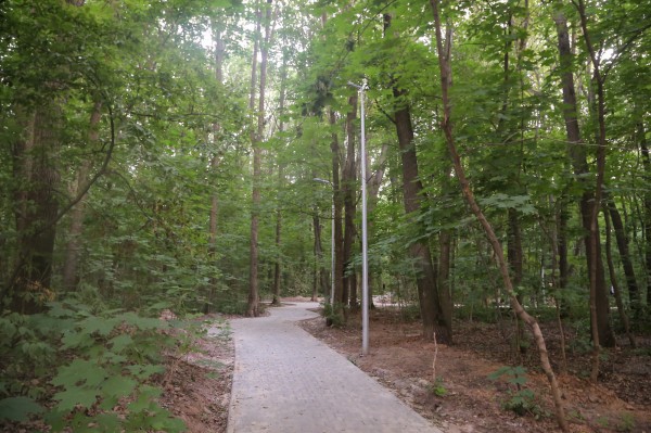 Два сквера, благоустраиваемые по нацпроекту «Жильё и городская среда», откроются в Приокском районе до конца июля