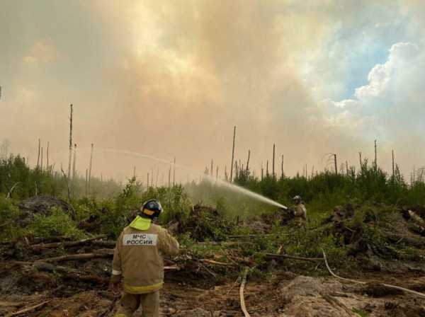 Ситуация с природными пожарами в Мордовском заповеднике стабильная Ситуация с природными пожарами в Мордовском заповеднике стабильная