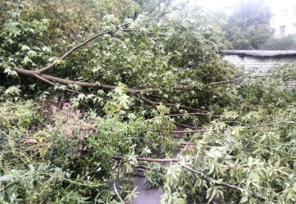 Жители Павлово Нижегородской области показали разрушения после ураганного ветра