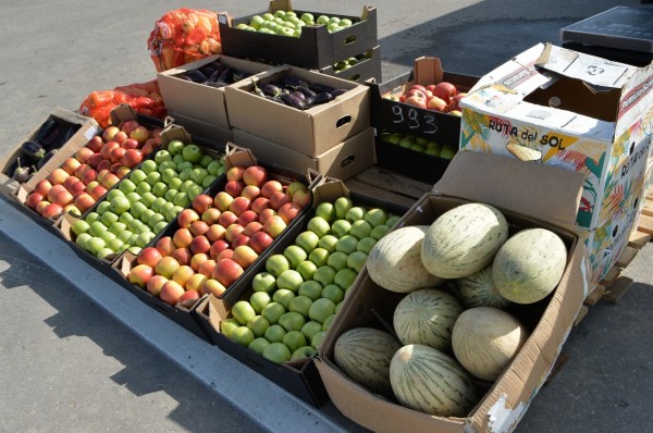 Агропарк с логистическим комплексом и ярмаркой начал работу в Нижегородской области Агропарк с логистическим комплексом и ярмаркой начал работу в Нижегородской области