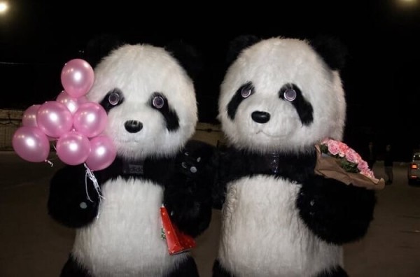 Анонс хоккейного вечера: &laquo;Торпедо&raquo; принимает СКА!