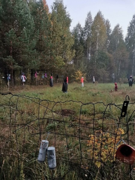 Сюжет из фильма ужасов: нижегородские грибники нашли поляну с ростовыми куклами Сюжет из фильма ужасов: нижегородские грибники нашли поляну с ростовыми куклами