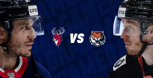 Анонс хоккейного вечера: «Торпедо» принимает «Амур»! Анонс хоккейного вечера: «Торпедо» принимает «Амур»!