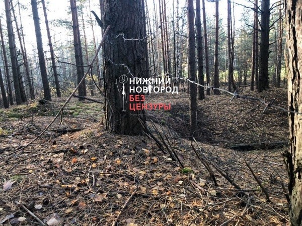 Жуткая ловушка обнаружена в лесу Нижегородской области Жуткая ловушка обнаружена в лесу Нижегородской области