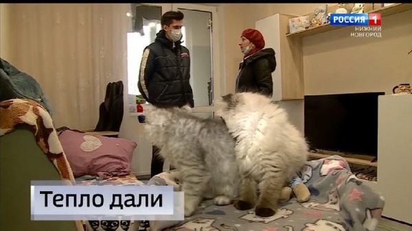 Телевидение прямого действия: Почему отопление включают не по заявке, а после репортажа?