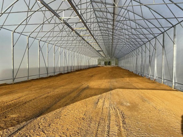 Три современные теплицы для выращивания лесопосадочного материала построили в Семеновском районе Три современные теплицы для выращивания лесопосадочного материала построили в Семеновском районе