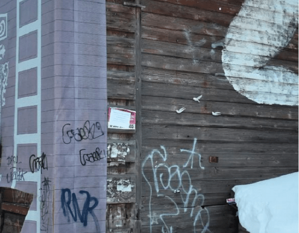 Фигурки белых голубей украсили старый дом в Нижнем Новгороде