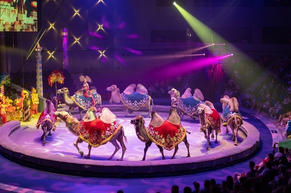 Гия Эрадзе представит «Песчаную сказку» в Нижегородском цирке Гия Эрадзе представит «Песчаную сказку» в Нижегородском цирке