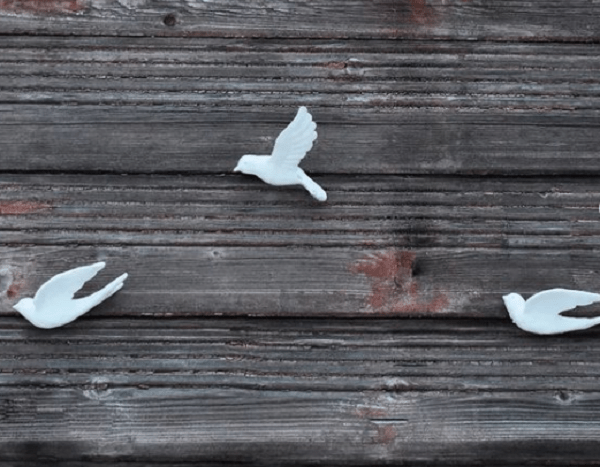 Фигурки белых голубей украсили старый дом в Нижнем Новгороде