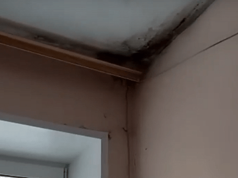 Жители поселка Гремячево пожаловались на плесень в отделении скорой помощи