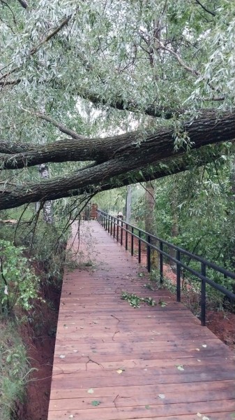 Сильный ветер поломал благоустройство на пляже в Арзамасе Сильный ветер поломал благоустройство на пляже в Арзамасе