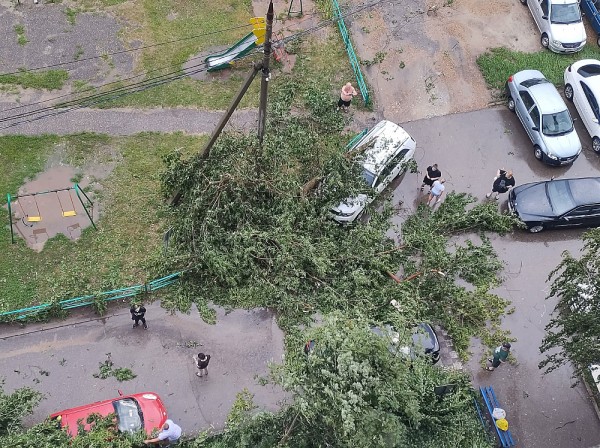 Сильный ветер поломал благоустройство на пляже в Арзамасе Сильный ветер поломал благоустройство на пляже в Арзамасе