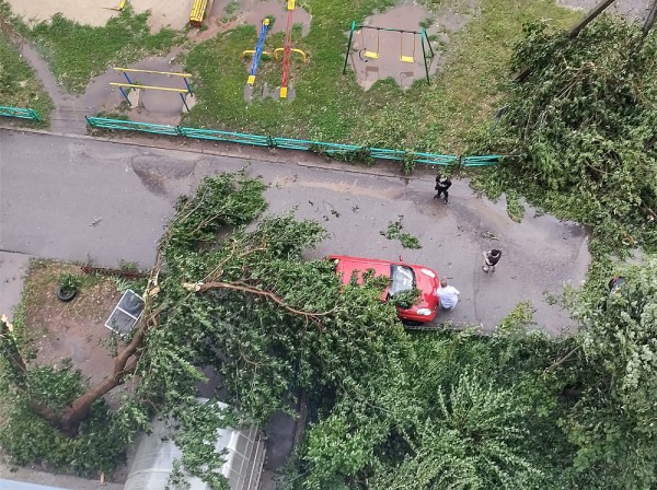 Сильный ветер поломал благоустройство на пляже в Арзамасе Сильный ветер поломал благоустройство на пляже в Арзамасе