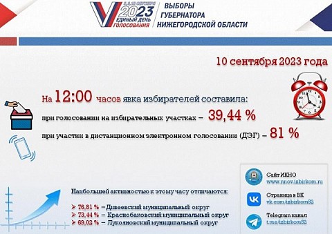 Явка избирателей на 12:00 достигла 39,44% в Нижегородской области