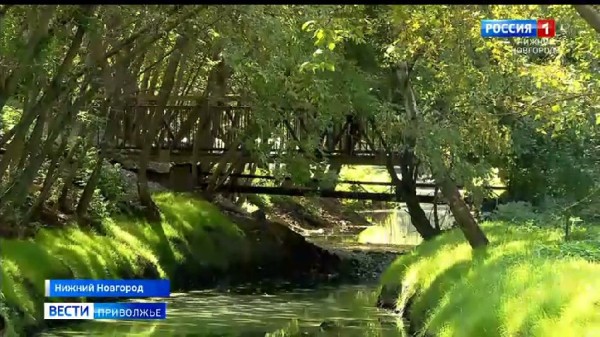 С берегов Борзовки убрано свыше 16 тысяч тонн отходов: А что появляется на месте свалок? С берегов Борзовки убрано свыше 16 тысяч тонн отходов: А что появляется на месте свалок?