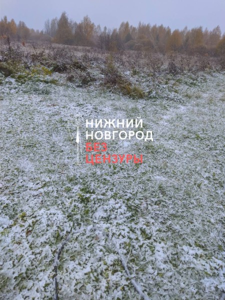 Первый снег выпал в северных районах Нижегородской области 8 октября
