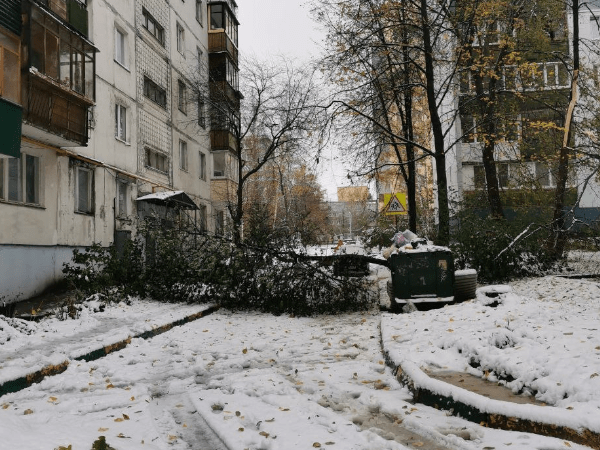 Нижегородцы массово жалуются на поваленные ветром деревья