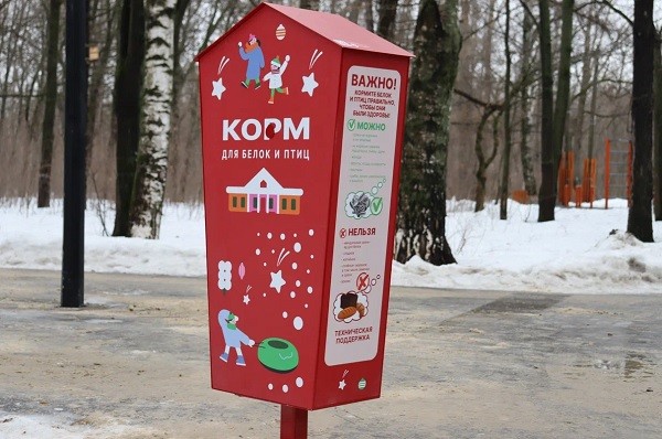 Шесть привезенных с Алтая белок выпустили в нижегородском парке «Дубки» Шесть привезенных с Алтая белок выпустили в нижегородском парке «Дубки»