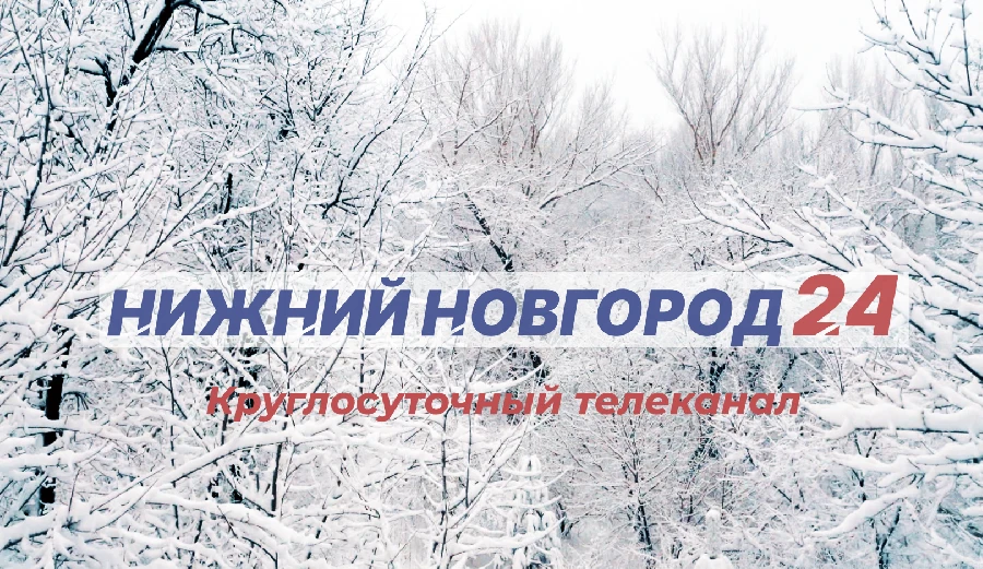 Программа передач телеканала “Нижний Новгород 24” на 28 декабря