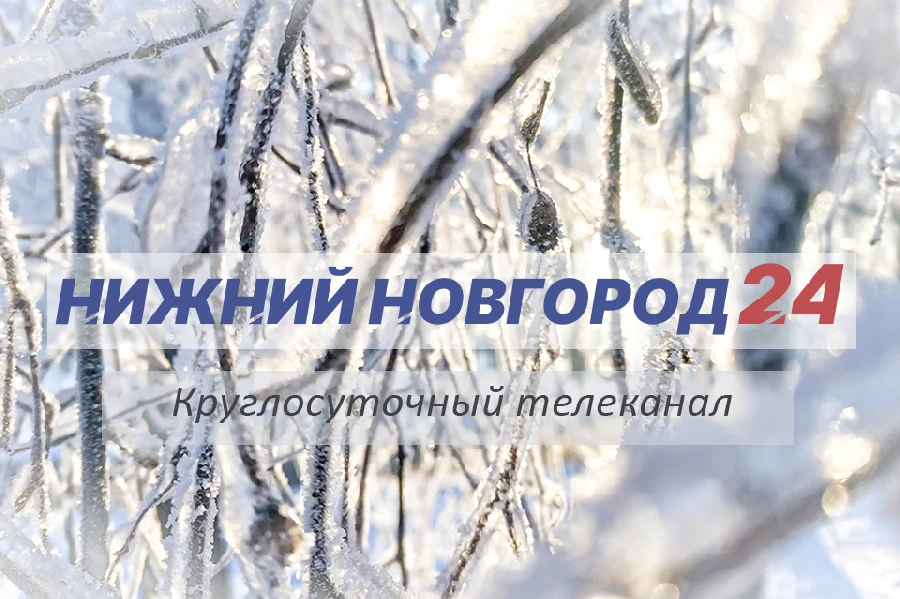 Программа передач телеканала “Нижний Новгород 24” на 9 декабря Программа передач телеканала “Нижний Новгород 24” на 9 декабря