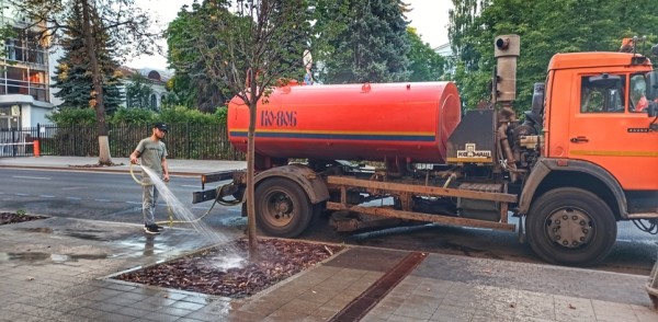 Приживаемость зеленых насаждений находится на постоянном контроле у сотрудников МКУ «Горкомэкологии»