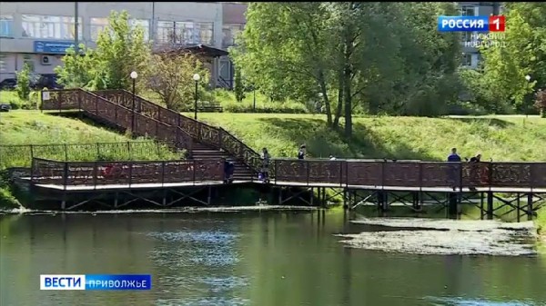 Обвалился берег Лукерьинского пруда, благоустроенный всего 4 года назад Обвалился берег Лукерьинского пруда, благоустроенный всего 4 года назад