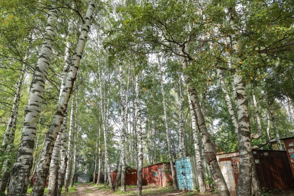 Дорогу от улицы Бекетова к школе №122 и освещение сделают уже этой осенью по обращениям жителей к главе города Юрию Шалабаеву 