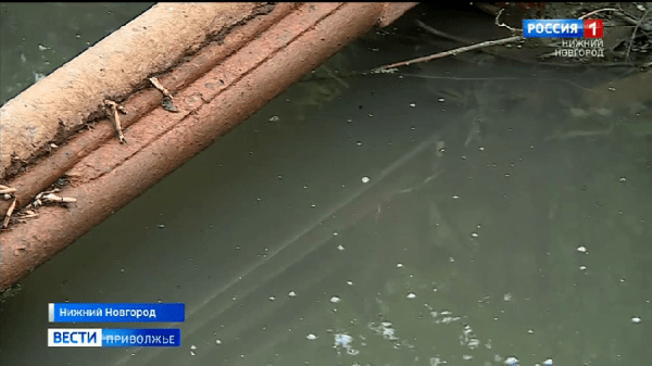 Жители Ленинского района продолжают жаловаться на неприятный запах и черный цвет воды в реке Борзовка Жители Ленинского района продолжают жаловаться на неприятный запах и черный цвет воды в реке Борзовка