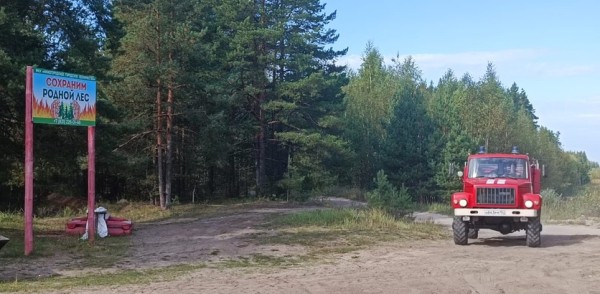 Патрулирование городских лесов в Нижнем Новгороде в связи с жаркой погодой в сентябре проходит в усиленном режиме