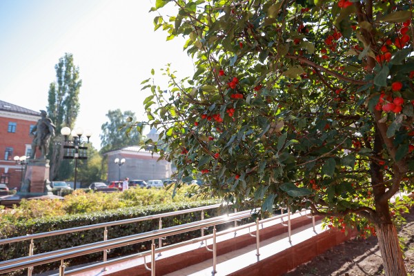 В сквере у Зачатьевской башни восстановили брусчатку, заменили гранитные плиты на памятнике Петру I и высадили яблони В сквере у Зачатьевской башни восстановили брусчатку, заменили гранитные плиты на памятнике Петру I и высадили яблони
