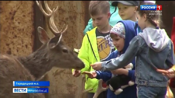 Чем привлекают туристов нижегородские экомаршруты? Чем привлекают туристов нижегородские экомаршруты?
