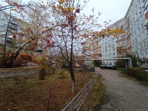 Лучший совет многоквартирного дома выбирают в Нижнем Новгороде  