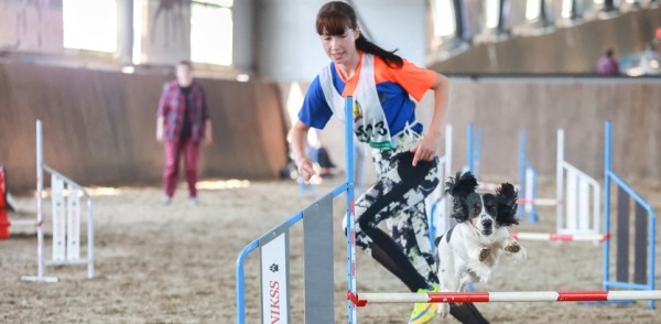 Вопросы по организации занятий в школе «Юный кинолог» можно задать специалистам 18 ноября Вопросы по организации занятий в школе «Юный кинолог» можно задать специалистам 18 ноября