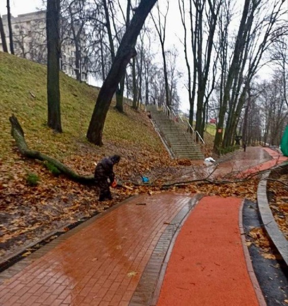 Дорожные службы убирают поваленные ураганным ветром деревья и ветки, а также откачивают воду в районах Нижнего Новгорода