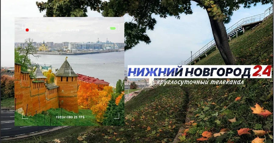 Программа передач телеканала “Нижний Новгород 24” на 23 ноября