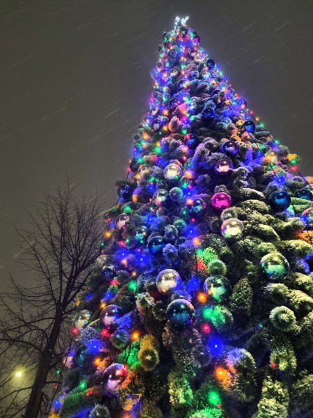 На территории нижегородских парков завершен монтаж новогодних ёлок и световых украшений На территории нижегородских парков завершен монтаж новогодних ёлок и световых украшений