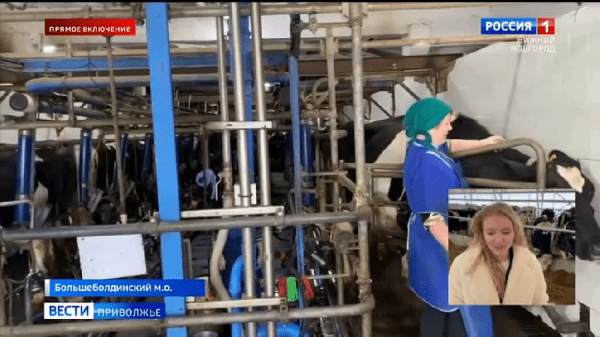 Новый животноводческий комплекс открыли в селе Старое Ахматово Новый животноводческий комплекс открыли в селе Старое Ахматово