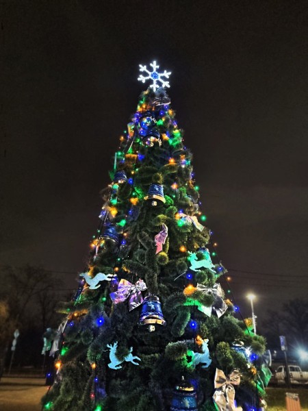 На территории нижегородских парков завершен монтаж новогодних ёлок и световых украшений На территории нижегородских парков завершен монтаж новогодних ёлок и световых украшений