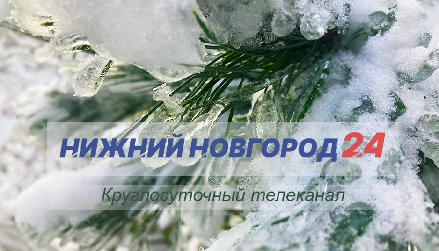 Программа передач телеканала “Нижний Новгород 24” на 12 декабря 